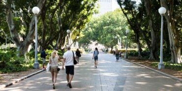 Group of people walking down a park with trees