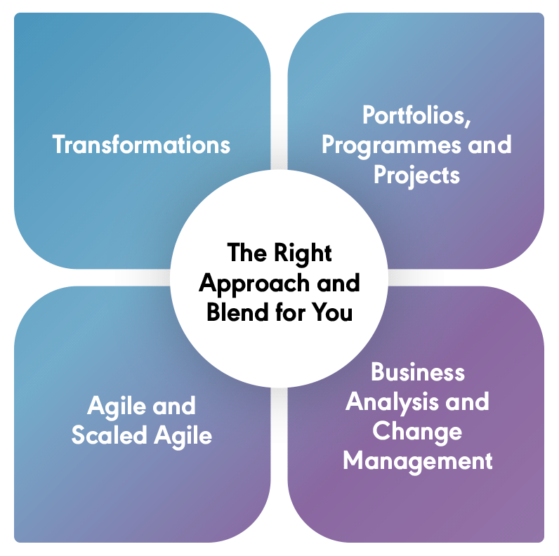 Project Management Consultants