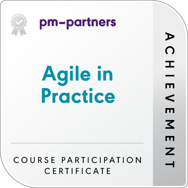Agile in Practice badge logo