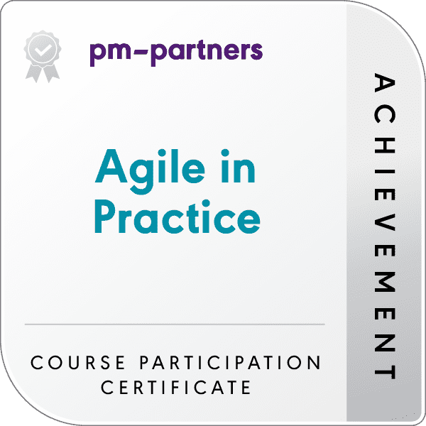 Agile in Practice badge logo