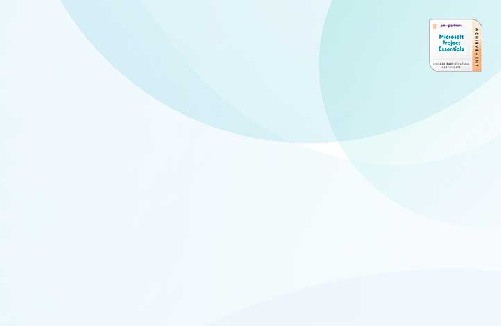 Microsoft Project Essentials
