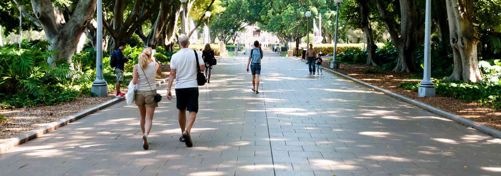 People walking in Hyde Park, Sydney