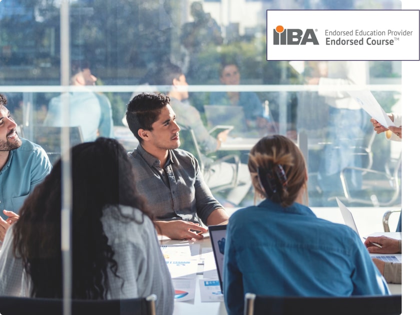 Business Analysis Professional Development Training Course
