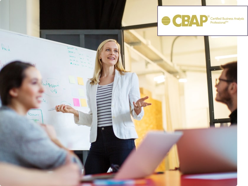 CBAP Certification Exam Preparation Course