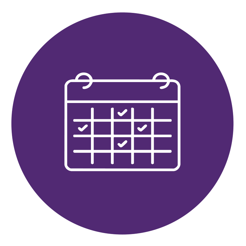ICONS-web_custom-schedules